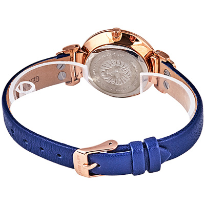 Часы наручные Anne Klein AK/2156NVRG