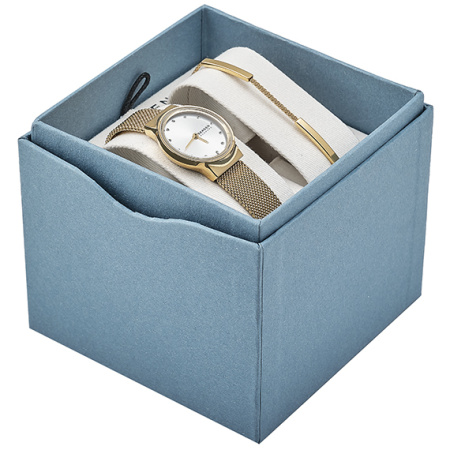 Часы наручные Skagen SKW1108