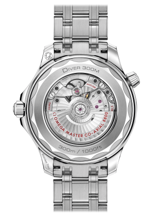 Часы наручные Omega 21030422003001