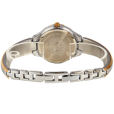 Часы наручные Anne Klein AK/2453WTTT