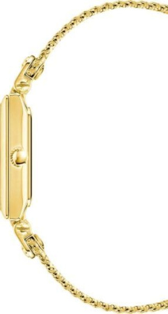 Часы наручные Anne Klein AK/3882BKGB