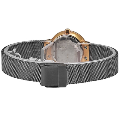 Часы наручные Skagen 456SRM