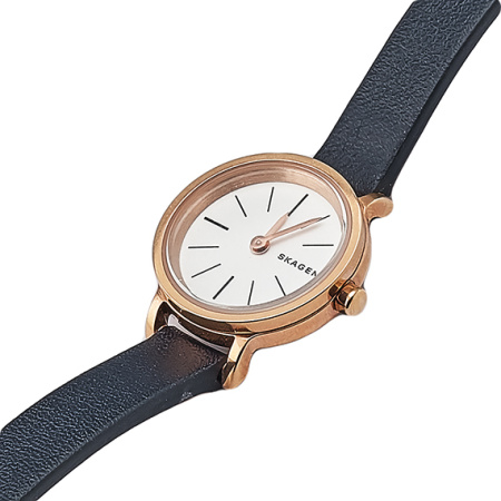 Часы наручные Skagen SKW2598