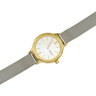 Часы наручные Skagen SKW2866