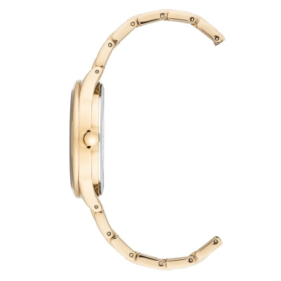 Часы наручные Anne Klein AK/3416BKGB