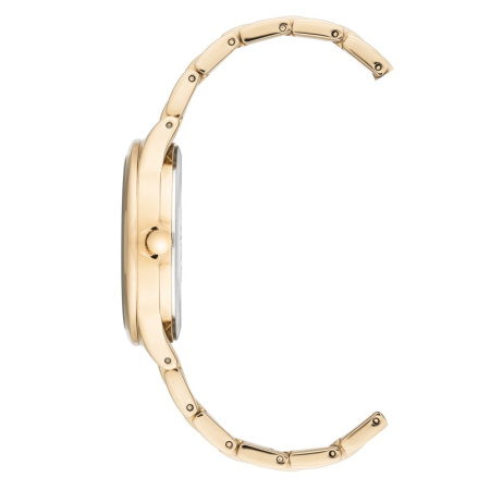 Часы наручные Anne Klein AK/3416BKGB