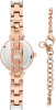 Часы наручные Anne Klein AK/3620WTST