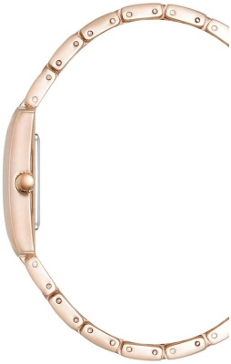 Часы наручные Anne Klein AK/5114SVRG