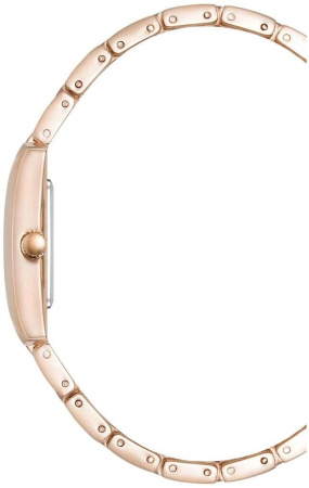 Часы наручные Anne Klein AK/5114SVRG