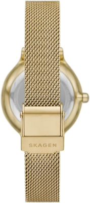 Часы наручные Skagen SKW3145