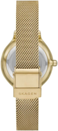 Часы наручные Skagen SKW3145 Часы наручные Skagen SKW3145