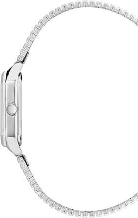 Часы наручные Anne Klein AK/3981SVSV