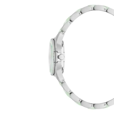Часы наручные Anne Klein AK/3213SVMI