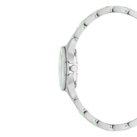 Часы наручные Anne Klein AK/3213SVMI