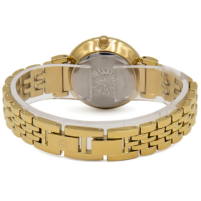 Часы наручные Anne Klein AK/3872CHGB