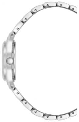 Часы наручные Anne Klein 10/5491MISV