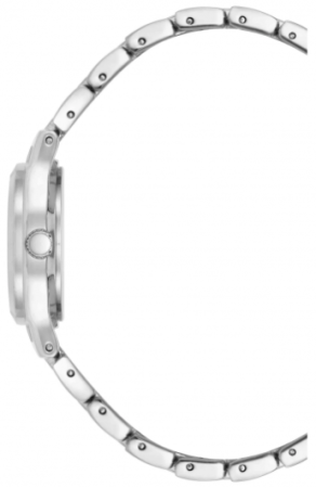 Часы наручные Anne Klein 10/5491MISV