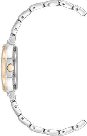 Часы наручные Anne Klein AK/5067MPTT