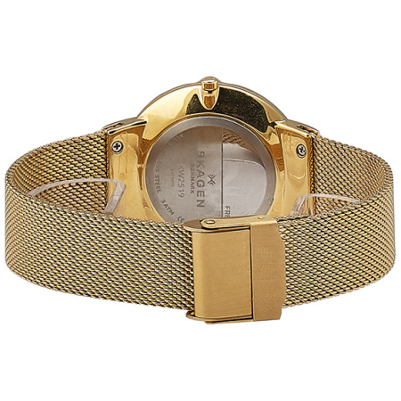 Часы наручные Skagen SKW2519