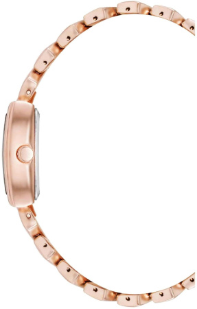 Часы наручные Anne Klein AK/5122MPRG