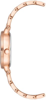 Часы наручные Anne Klein AK/4014WTRG