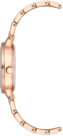 Часы наручные Anne Klein AK/4014WTRG