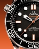 Часы наручные Omega 21030422001018 