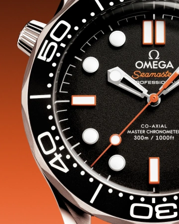 Часы наручные Omega 21030422001018 