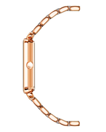 Часы наручные Anne Klein AK/3668NVRG Часы наручные Anne Klein AK/3668NVRG