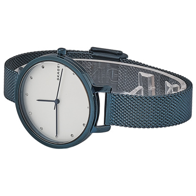 Часы наручные Skagen SKW2579