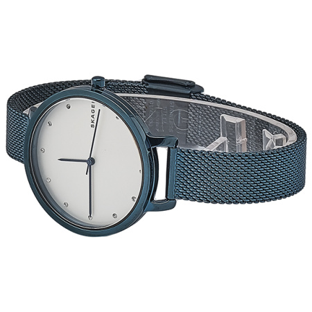 Часы наручные Skagen SKW2579 Часы наручные Skagen SKW2579
