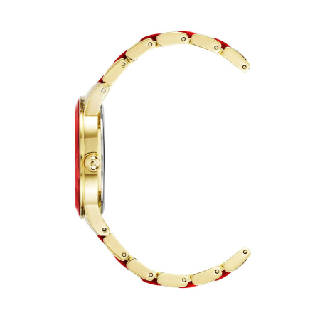 Часы наручные Anne Klein AK/3610GPRD 