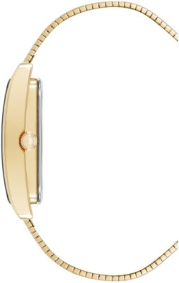 Часы наручные Anne Klein AK/5240BKGB