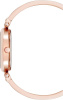 Часы наручные Anne Klein AK/5118BHRG