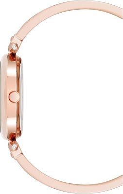 Часы наручные Anne Klein AK/5118BHRG