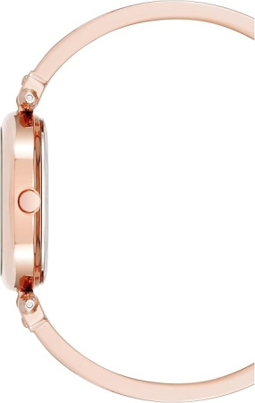 Часы наручные Anne Klein AK/5118BHRG