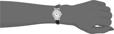 Часы наручные Anne Klein AK/2247SVBK 