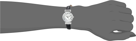 Часы наручные Anne Klein AK/2247SVBK 