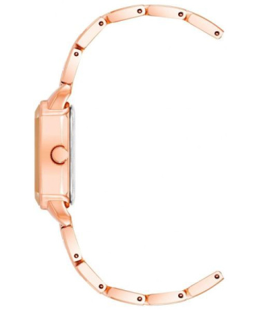 Часы наручные Anne Klein AK/5026RGRG