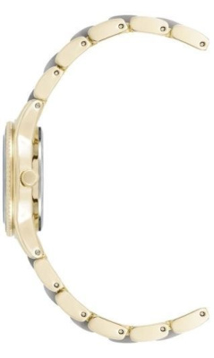 Часы наручные Anne Klein AK/3212LGGB