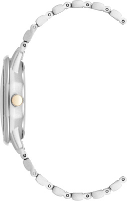 Часы наручные Anne Klein AK/5029MPTT
