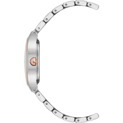 Часы наручные Anne Klein AK/5133SVRT