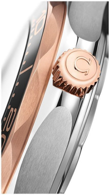 Часы наручные Omega 21022422001002