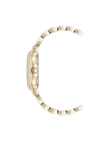 Часы наручные Anne Klein AK/5234BKGB