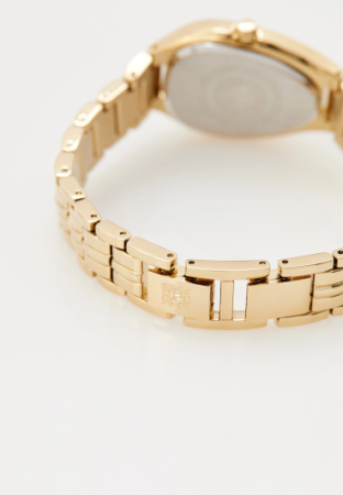 Часы наручные Anne Klein AK/5176CHGB