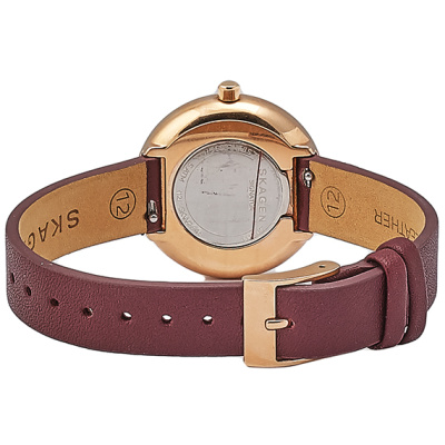 Часы наручные Skagen SKW2646