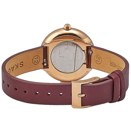 Часы наручные Skagen SKW2646