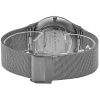 Часы наручные Skagen 233XLTTM Часы наручные Skagen 233XLTTM
