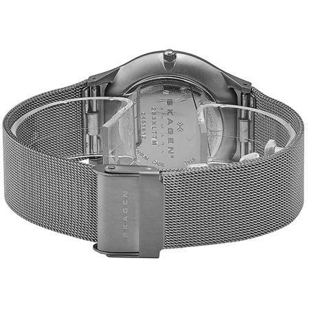 Часы наручные Skagen 233XLTTM Часы наручные Skagen 233XLTTM