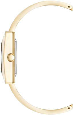 Часы наручные Anne Klein AK/5062GPBK